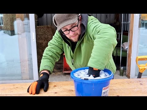 WaterProof Winter Gloves Put to The TEST