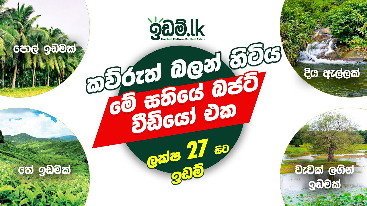 Coconut land Agriculture land Land for sale in Sri Lanka House for sale YouTube