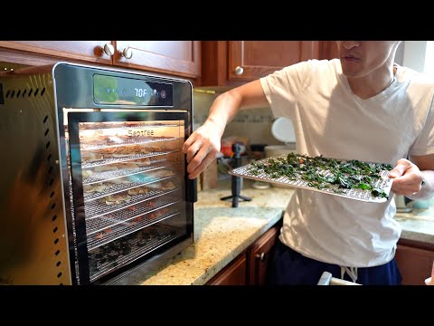 Ultimate Food Dehydrator 10 Trays 800W Stainless Steel with Adjustable Temp Timer Septree