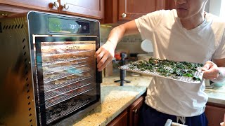 Ultimate Food Dehydrator: 10 Trays, 800W Stainless Steel with Adjustable Temp & Timer Septree
