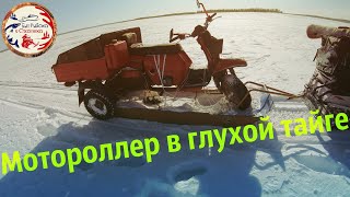 Мотороллер В Глухой Тайге Якутии