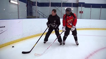 Guy Desjardins, Skills Coach - Web drills Puck Protection In motion