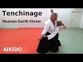 Aikido technique TENCHINAGE against grip and strike attacks, by Stefan Stenudd, 7 dan Aikikai shihan