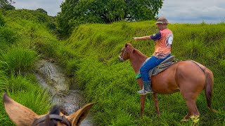 VAQUEIRO MOSTRA O BURACO ONDE O CROCODILO SE ESCONDE 🐊😱 | DANILO PIMENTA