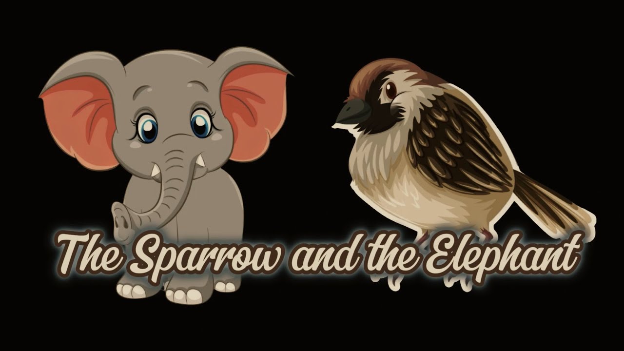 Pre k educational videos the sparrow and the elephant moral stories