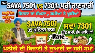 Sava 7501 &7301 ਝੋਨੇ ਦੀ ਪੂਰੀ ਜਾਣਕਾਰੀ 👈 Sava 7501 & 7301  Paddy Full details