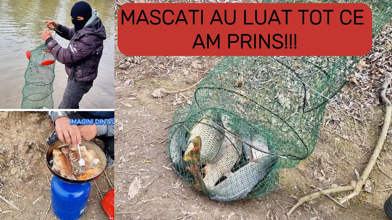Pescuitul la Crap sa lăsat cu Mascați care au luat tot ce am prins!!!😪😪😪🥷🥷