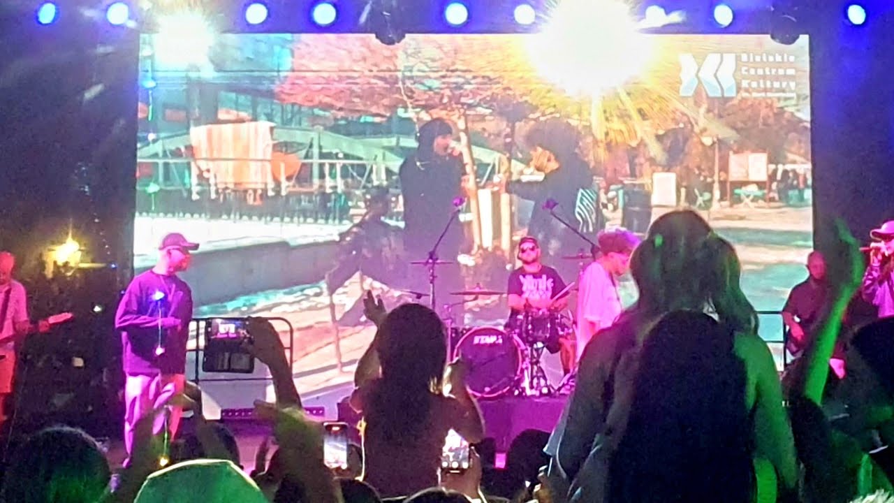 BIELSKIE CHŁOPAKI (dni BIELSKA-BIAŁEJ 2025) tekst piosenki Alien X Majtis - VIP