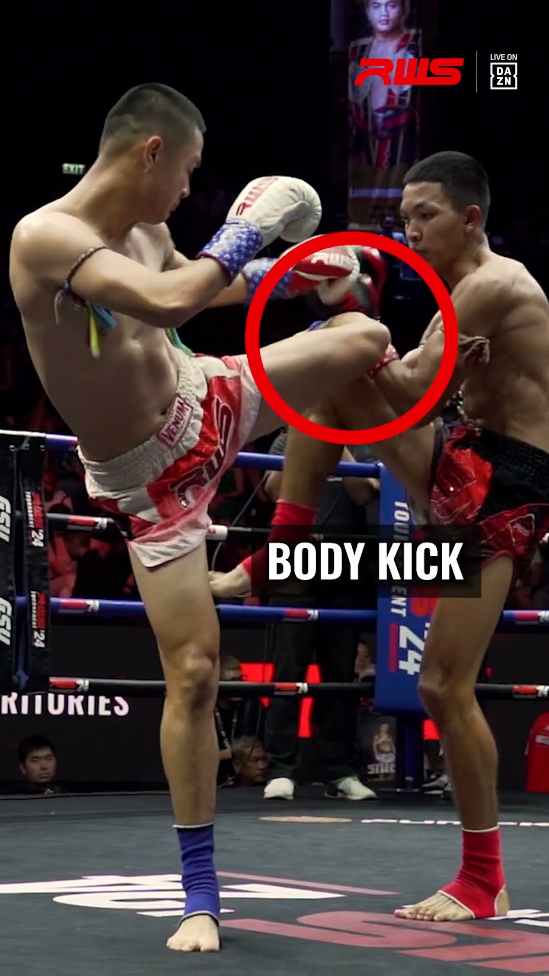 MUAYTHAI ART ON THE RING! ? ?? Ronachai