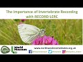The Importance of Invertebrate Recording with RECORD LERC