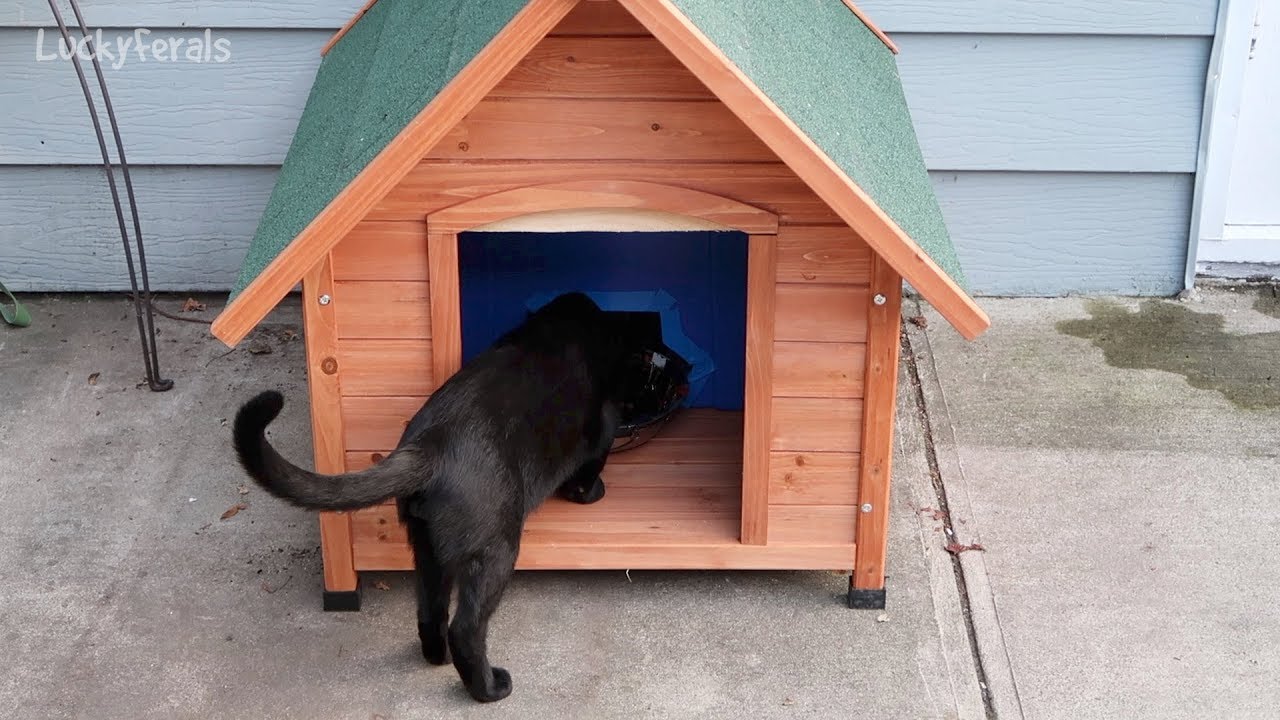 covered outdoor cat feeders