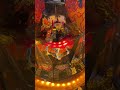 無料でもらったメダル10枚を増やしてみた! #メダルゲーム #コインゲーム #ゲーセン #shorts #カザーン