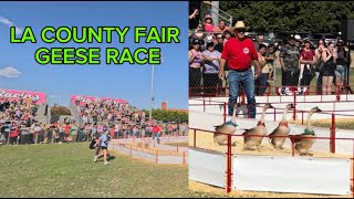 LA County Fair Geese Race #lafair #lacountyfair