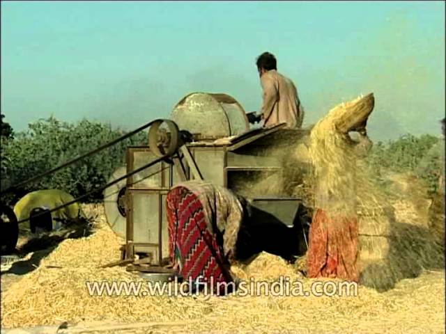 Threshing Machine