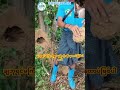 ချဘုရင်မကို အရှင်လတ်လတ် စားခဲ့တဲ့ လူသား 😱 #viral #duet #food