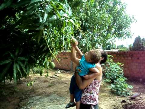 AEAEAE...É O NENEN PELO QUINTAL...