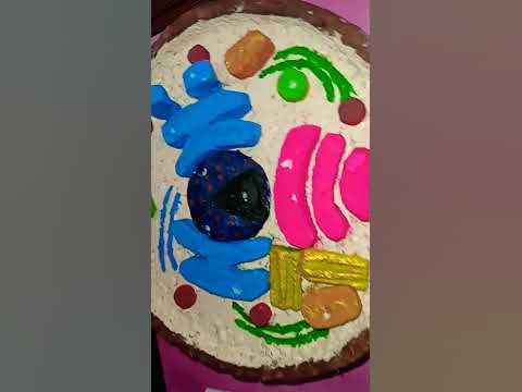 Animal cell model || how to make animal cell with using thermacol || #