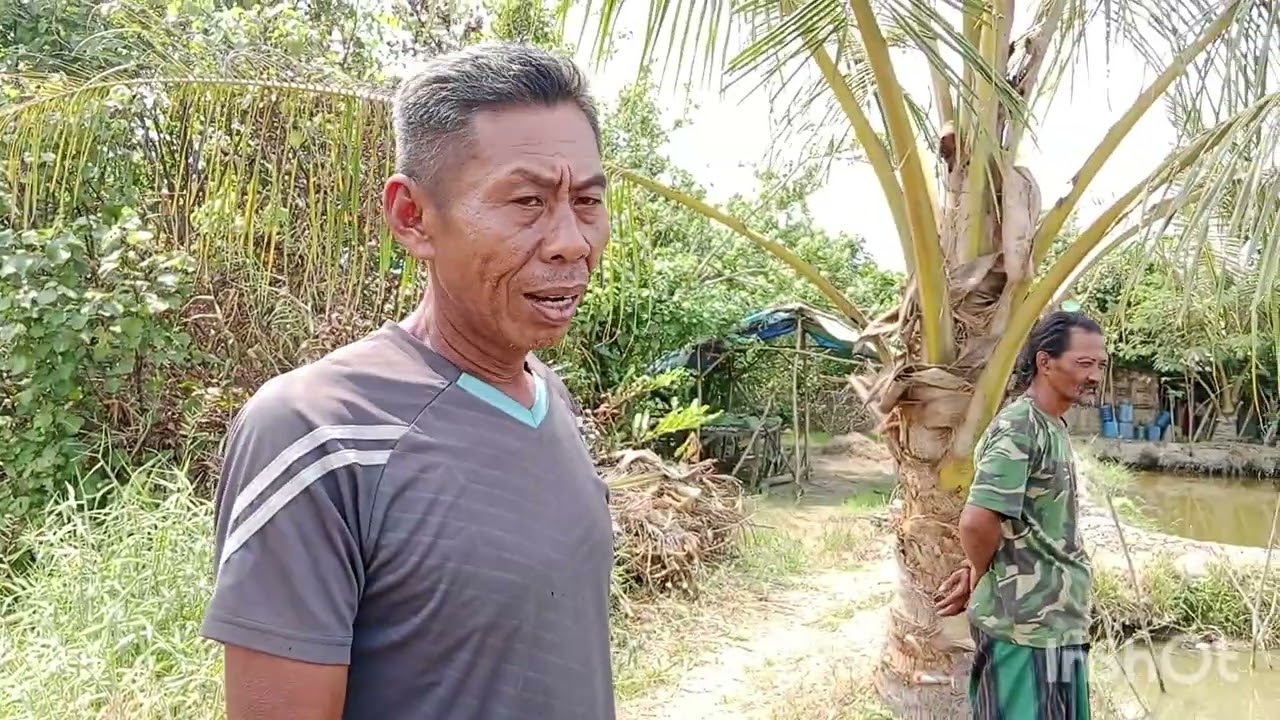 bukak kolam perdana tgl,8,2,2026,di kp pauh kolam kakek alex, tiket 100 rb jam 5 pagi