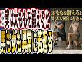【男も女も太ももを鍛えろ】「一生若返り続けるので、異常に若くいられる。太もも鍛えてる人は、なぜか異常に若かった」を世界一わかりやすく要約してみた【本要約】