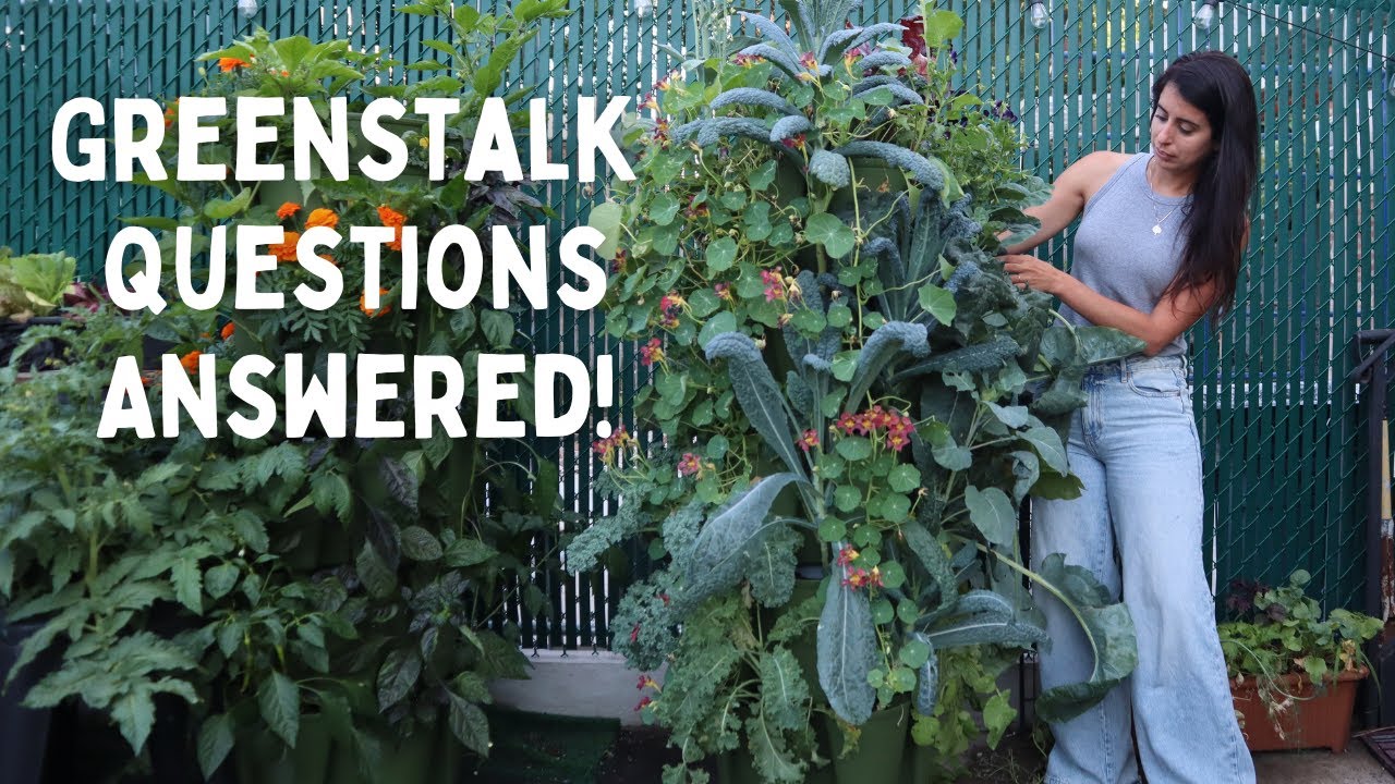 Полные вопросы и ответы по GREENSTALK: советы, рекомендации и честные ответы