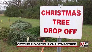 Best ways to recycle your Christmas tree