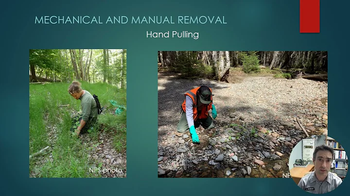 Invasive Plant Control Methods