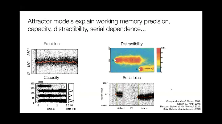 Heike Stein - Modeling working memory deficits in ...