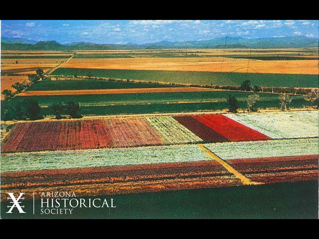 早春の里 Japanese American Flower Gardens along Baseline Road in Phoenix