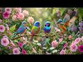 Need Peace Right Now? 🌿 Relaxing Bird Sounds in Spring Nature for Calm, Focus &amp; Stress Relief