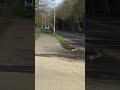 CN13 AYY thrashing along Jubilee Avenue towards Corby Town Centre on the 1 17/3/26