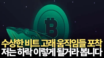 수상한 비트고래의 움직임들 포착 저는 이번 하락을 이렇게 될거라 봅니다