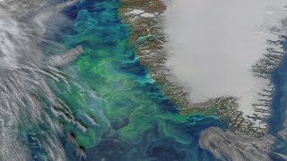 NASA's newest satellite studying the oceans