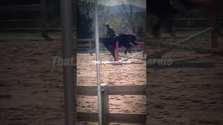 :.:Act A Fool:.:(Edit of my lesson) #horse #fypシ #equestrian #equestrianlifestyle #Jumping ￼