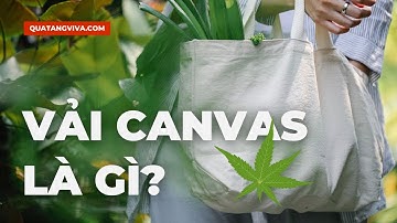 Túi Canvas Là Gì? Vải Canvas Là Gì? Dịch Vụ Sản Xuất Túi Canvas In Logo Theo Yêu Cầu HN - HCM