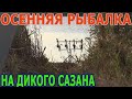 Осенняя рыбалка на сазана.2я часть.