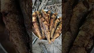 Sanka Fish Fry🐟 #sankamachha#fishfry #shortsfeed#ytshorts #shorts #fishlover#lunchspecial #saltyfish