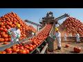Inside the Giant Factory: How 2,000,000 Bottles of Ketchup Are Made Every Day