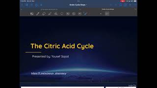 Biochemistry The Citric Acid Cycle / المحاضرة الخامسة من المنهج التقويمي لكلية الصيدلة