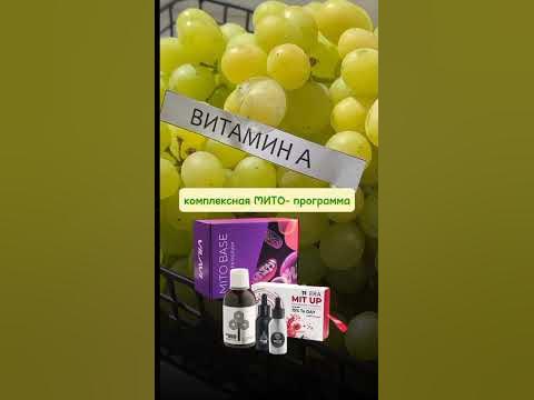 ВСЕ Витамины в MITO BASE 🦠 Тайга8 🌲 MITOproGRAM - YouTube