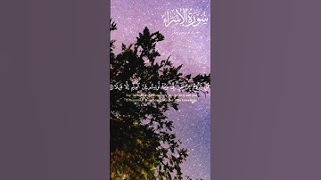 {ويسألونك عن الروح قل الروح من أمر ربي} | القارئ ادريس أبكر #قرآن #سورة #فلسطين #قران_كريم