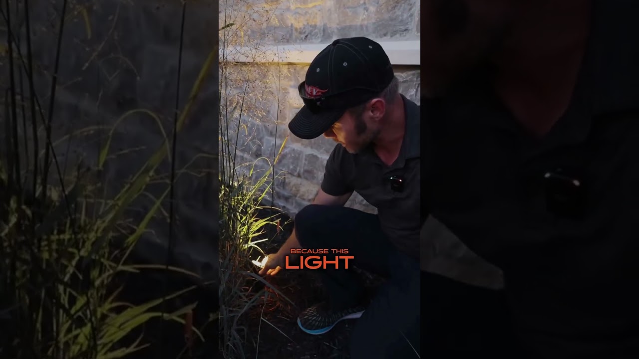 Landscape Accent Lighting That Elevates Architecture | Lebanon, TN