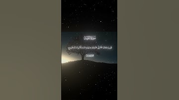 سورة التوبة|82-83|القارئ:#محمد_اللحيدان #قران #quran #راحة_نفسية #قران_كريم#تلاوة_هادئة #تلاوة_خاشعة
