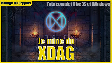 XDAG mining CPU Rentable - Edition 2022 - Tuto minage complet Windows et HiveOS