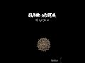 #noorquran #duet #surahyasinmubinkitakrar #tilawat #calligraphy