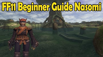 Final Fantasy 11 Beginner Guide Nasomi