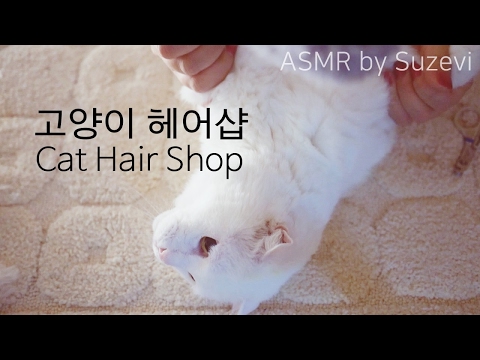 ASMR Cat Hair Shop/purring sound (whispering)