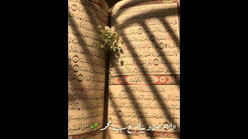 سورة الكهف 🍂🌼//#حالات #واتس_اب #قرآن #كريم