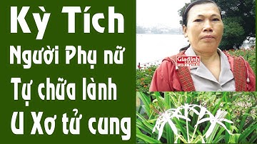 Kỳ tích của người phụ nữ tự chữa lành U Xơ Tử cung bằng cây trinh nữ hoàng cung