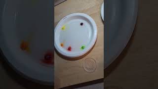 Candy Diffusion: Colorful Science Experiment for Kids