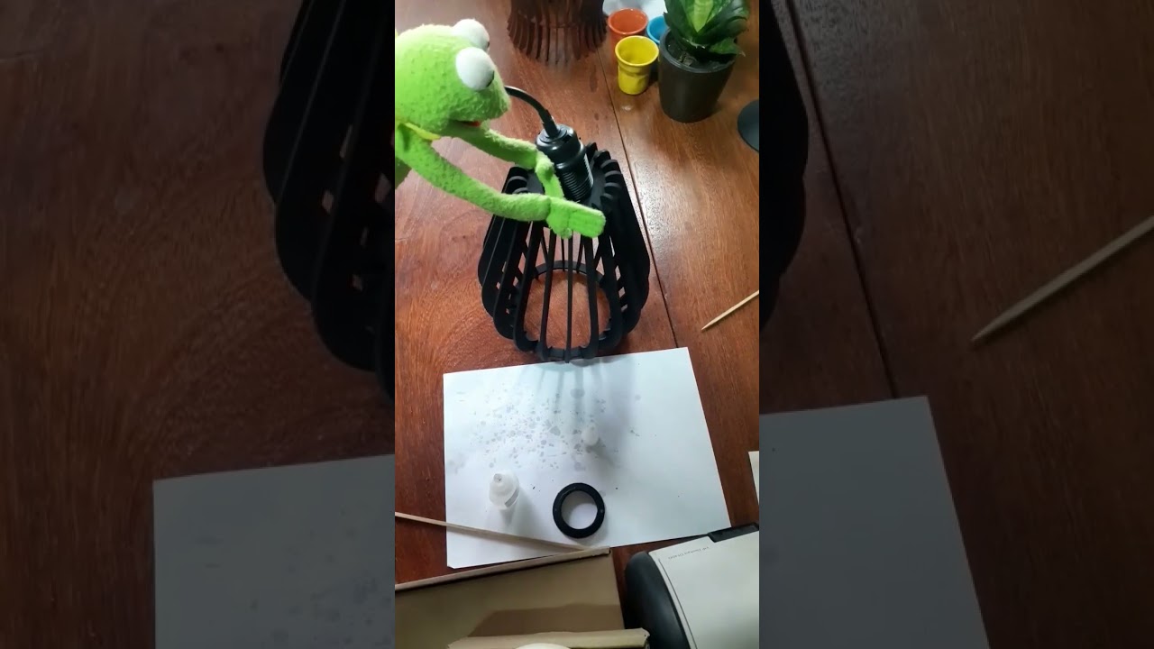 Ceiling Light Fixture 